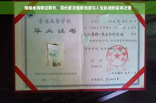 婚姻未再婚证明书，现代都市情感选择与人生轨迹的探寻之道