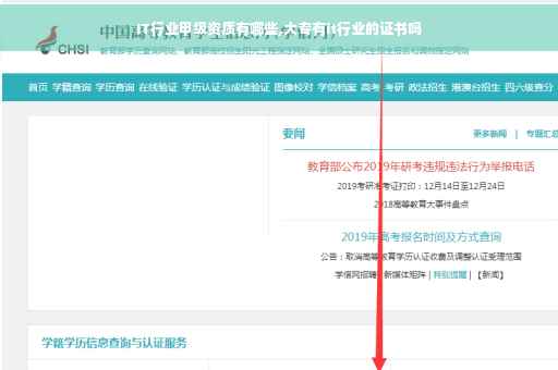 IT行业甲级资质有哪些,大专有it行业的证书吗