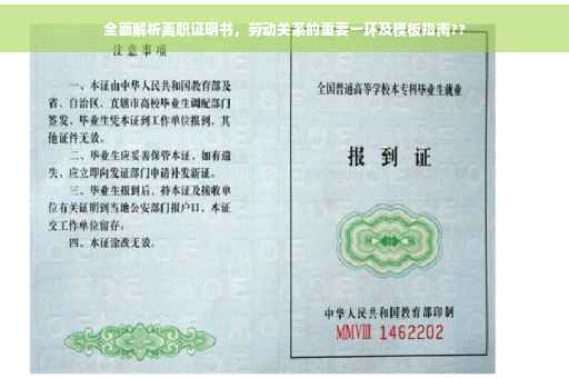 全面解析离职证明书，劳动关系的重要一环及模板指南??