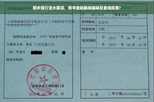 桐乡银行流水解读，数字金融脉络揭秘及查询指南?