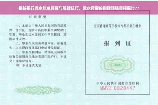 揭秘银行流水账单真相与解读技巧，流水背后的搬砖赚钱真相探讨??