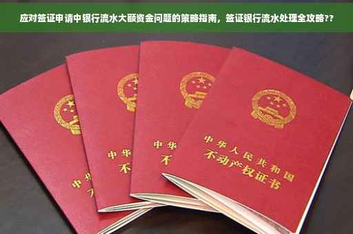 应对签证申请中银行流水大额资金问题的策略指南，签证银行流水处理全攻略??