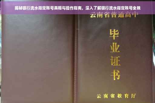揭秘银行流水指定账号真相与操作指南，深入了解银行流水指定账号全貌