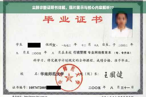 尘肺诊断证明书详解，图片展示与核心内容解析??