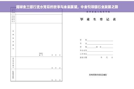 揭秘金三银行流水背后的故事与未来展望，中金引领银行业发展之路