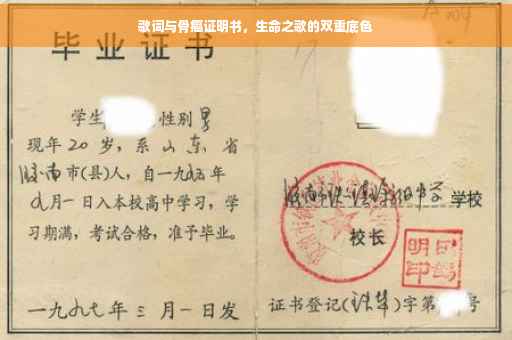歌词与骨癌证明书，生命之歌的双重底色