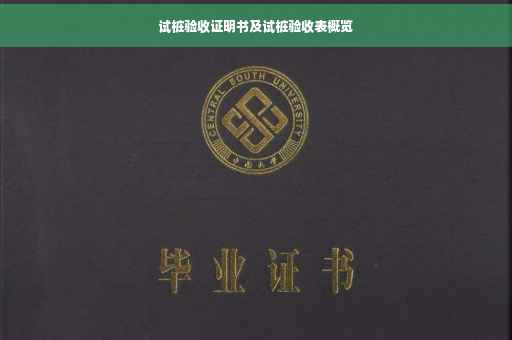 试桩验收证明书及试桩验收表概览