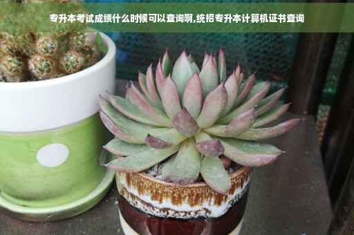专升本考试成绩什么时候可以查询啊,统招专升本计算机证书查询