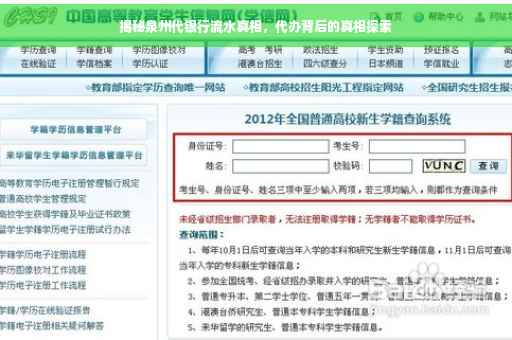 揭秘泉州代银行流水真相，代办背后的真相探索