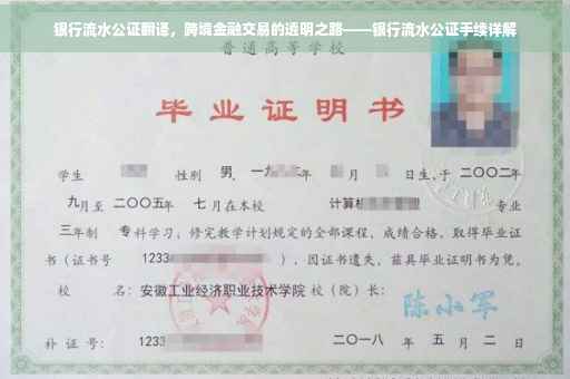 银行流水公证翻译，跨境金融交易的透明之路——银行流水公证手续详解