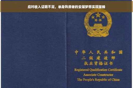 应对收入证明不足，单身购房者的安居梦想实现策略