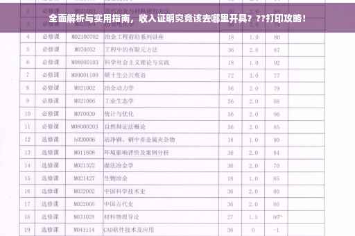 全面解析与实用指南，收入证明究竟该去哪里开具？??打印攻略！