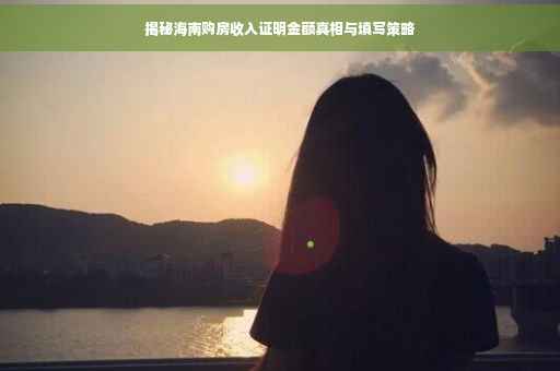 揭秘海南购房收入证明金额真相与填写策略