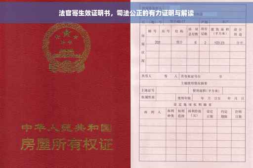 法官寄生效证明书，司法公正的有力证明与解读