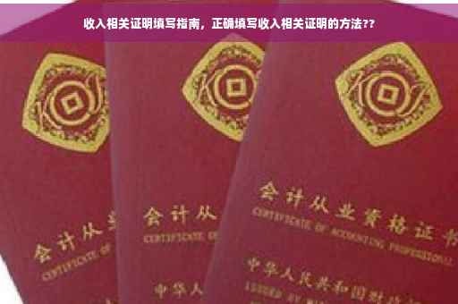 收入相关证明填写指南，正确填写收入相关证明的方法??