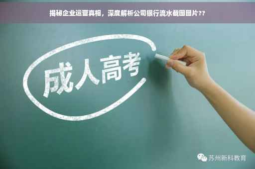 揭秘企业运营真相，深度解析公司银行流水截图图片??