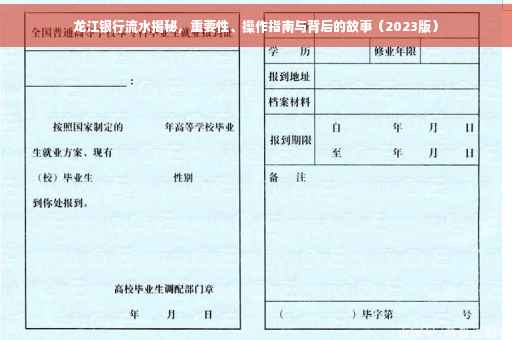 龙江银行流水揭秘，重要性、操作指南与背后的故事（2023版）