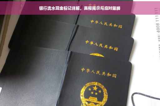 银行流水现金标记详解，真相揭示与应对策略