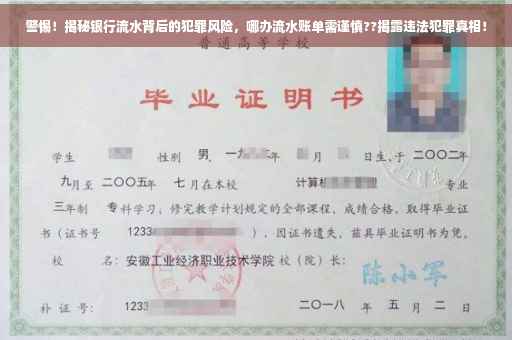 警惕！揭秘银行流水背后的犯罪风险，哪办流水账单需谨慎??揭露违法犯罪真相！