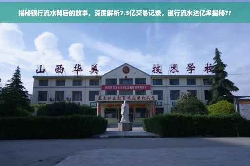 揭秘银行流水背后的故事，深度解析7.3亿交易记录，银行流水达亿级揭秘??