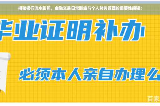 揭秘银行流水彩照，金融交易日常脉络与个人财务管理的重要性揭秘！