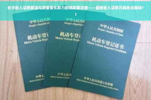 长沙收入证明解读与政策变化助力职场发展攻略——最新收入证明开具地点揭秘??
