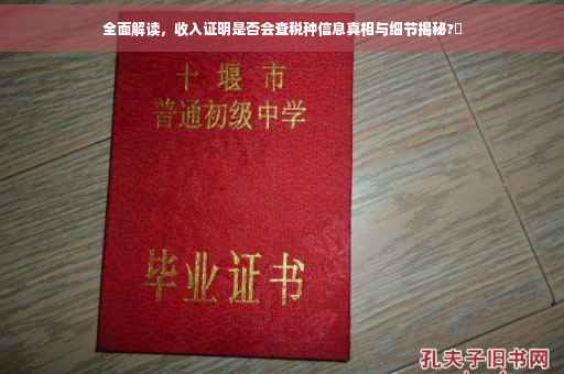 全面解读，收入证明是否会查税种信息真相与细节揭秘?✨