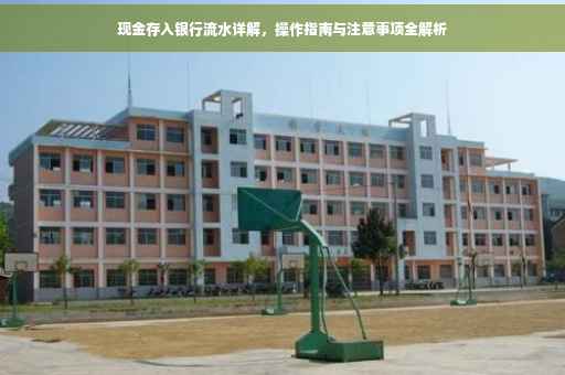 现金存入银行流水详解，操作指南与注意事项全解析