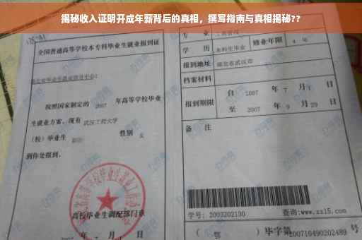 揭秘收入证明开成年薪背后的真相，撰写指南与真相揭秘??