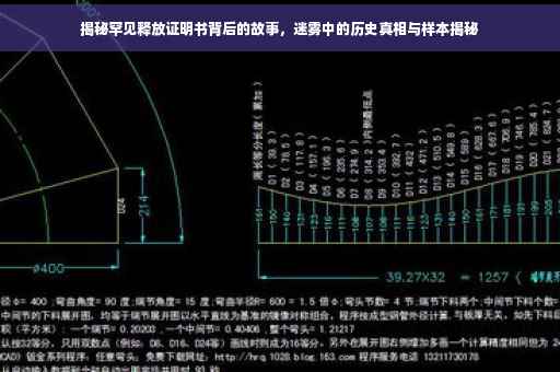 揭秘罕见释放证明书背后的故事，迷雾中的历史真相与样本揭秘