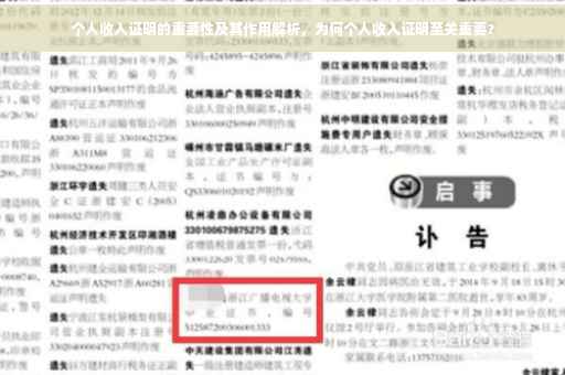 个人收入证明的重要性及其作用解析，为何个人收入证明至关重要？