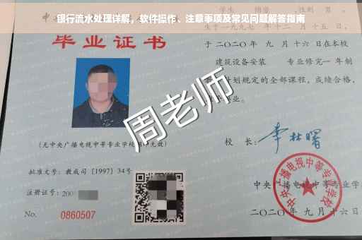 银行流水处理详解，软件操作、注意事项及常见问题解答指南