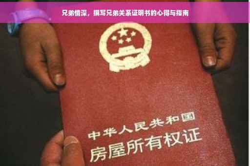 兄弟情深，撰写兄弟关系证明书的心得与指南