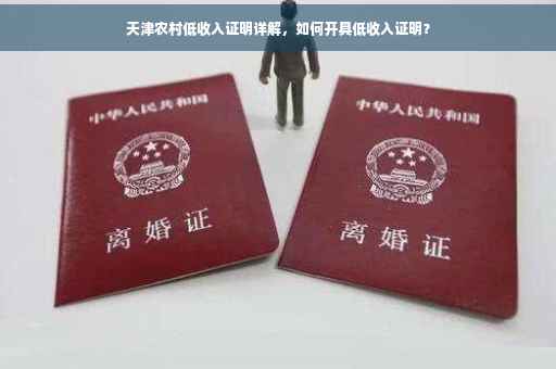 天津农村低收入证明详解，如何开具低收入证明？
