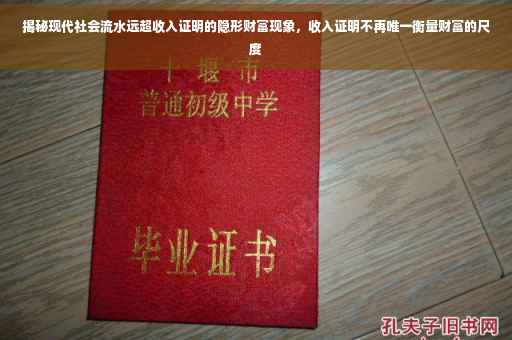 揭秘现代社会流水远超收入证明的隐形财富现象，收入证明不再唯一衡量财富的尺度