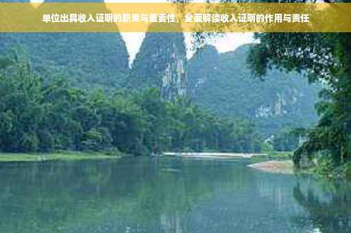 单位出具收入证明的职责与重要性，全面解读收入证明的作用与责任