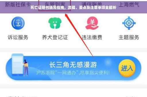 死亡证明书填写指南，流程、要点及注意事项全解析