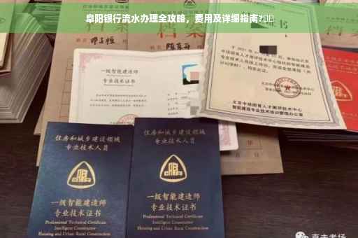 阜阳银行流水办理全攻略，费用及详细指南?⚡️