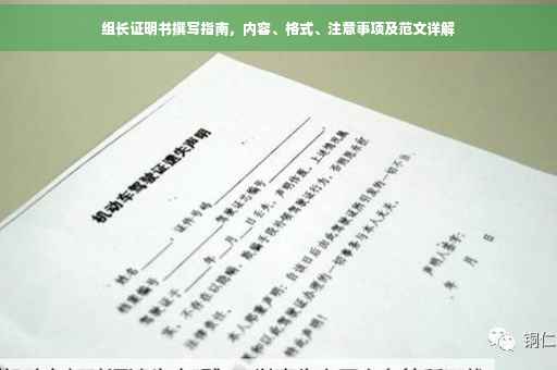 组长证明书撰写指南，内容、格式、注意事项及范文详解