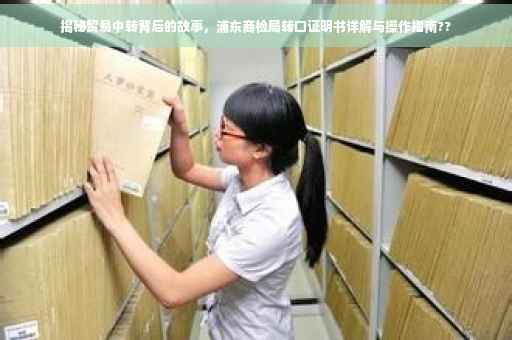 揭秘贸易中转背后的故事，浦东商检局转口证明书详解与操作指南??