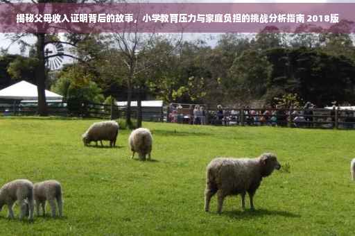 揭秘父母收入证明背后的故事，小学教育压力与家庭负担的挑战分析指南 2018版