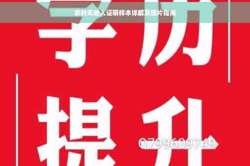 农村无收入证明样本详解及图片指南
