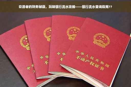 穷游者的财务秘籍，玩转银行流水攻略——银行流水查询指南??