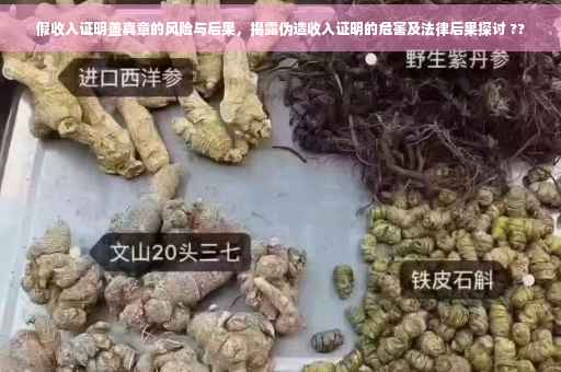 假收入证明盖真章的风险与后果，揭露伪造收入证明的危害及法律后果探讨 ??