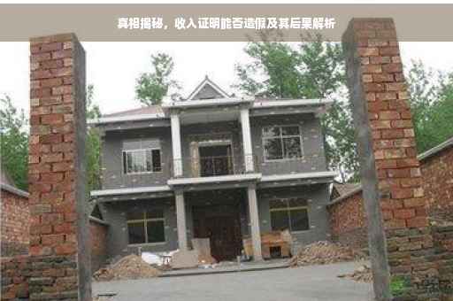 真相揭秘，收入证明能否造假及其后果解析