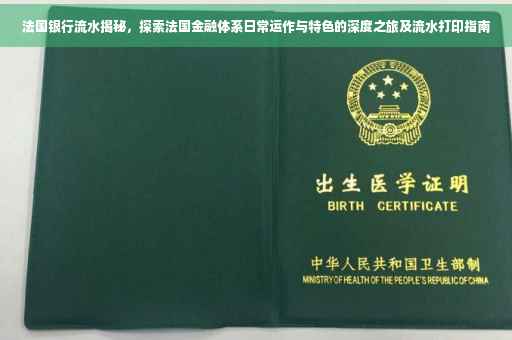 法国银行流水揭秘，探索法国金融体系日常运作与特色的深度之旅及流水打印指南