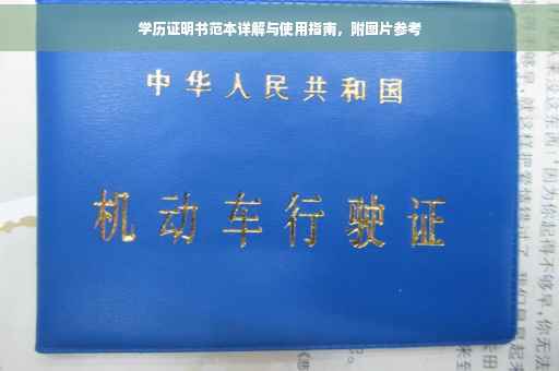 学历证明书范本详解与使用指南，附图片参考