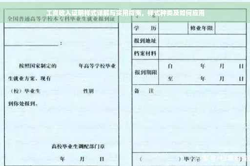 工资收入证明样式详解与实用指南，样式种类及如何应用