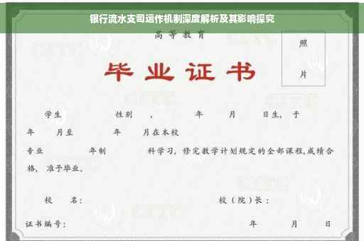 银行流水支司运作机制深度解析及其影响探究
