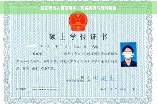 城市无收入证明范本，现实挑战与应对策略